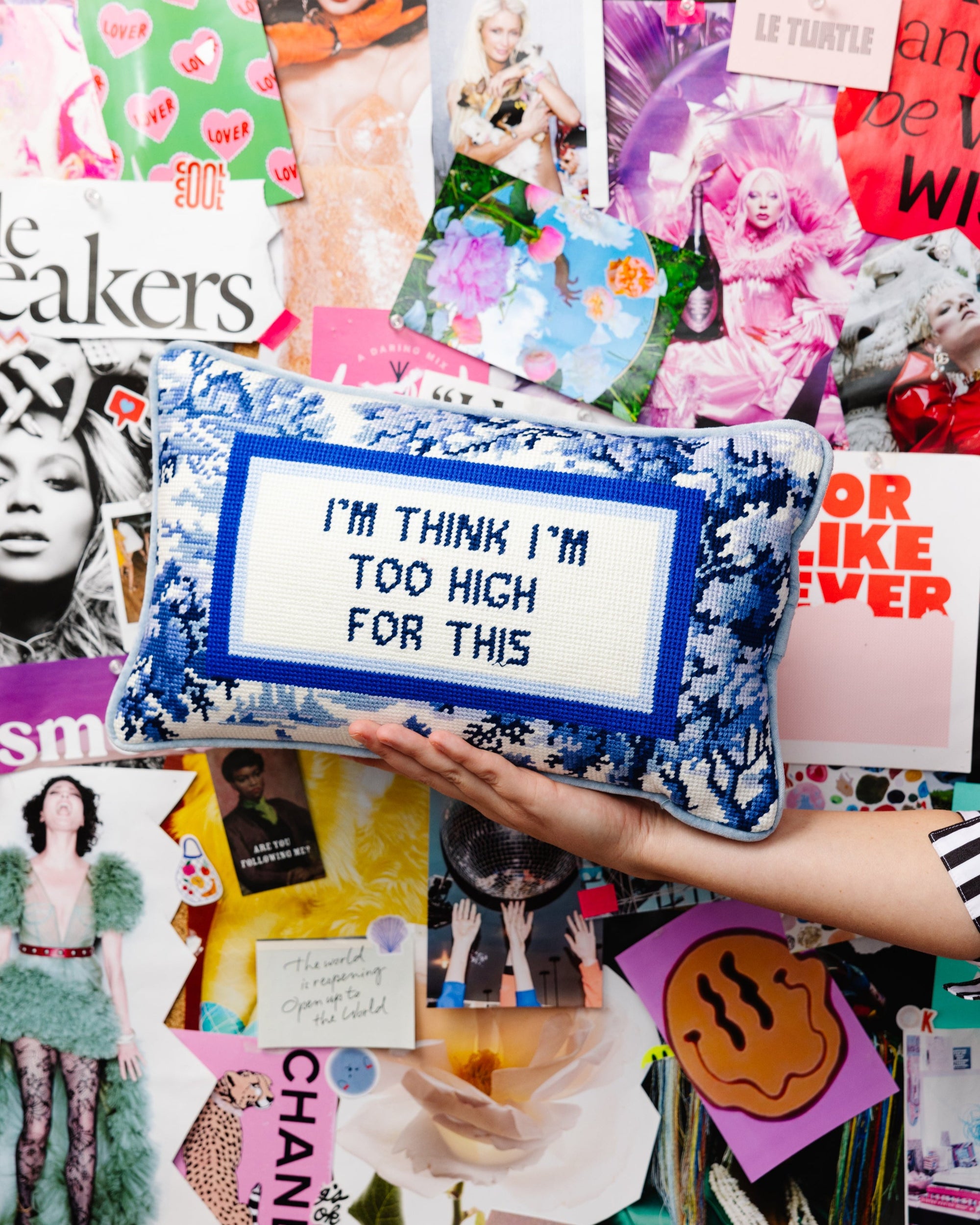 Too High Needlepoint Pillow