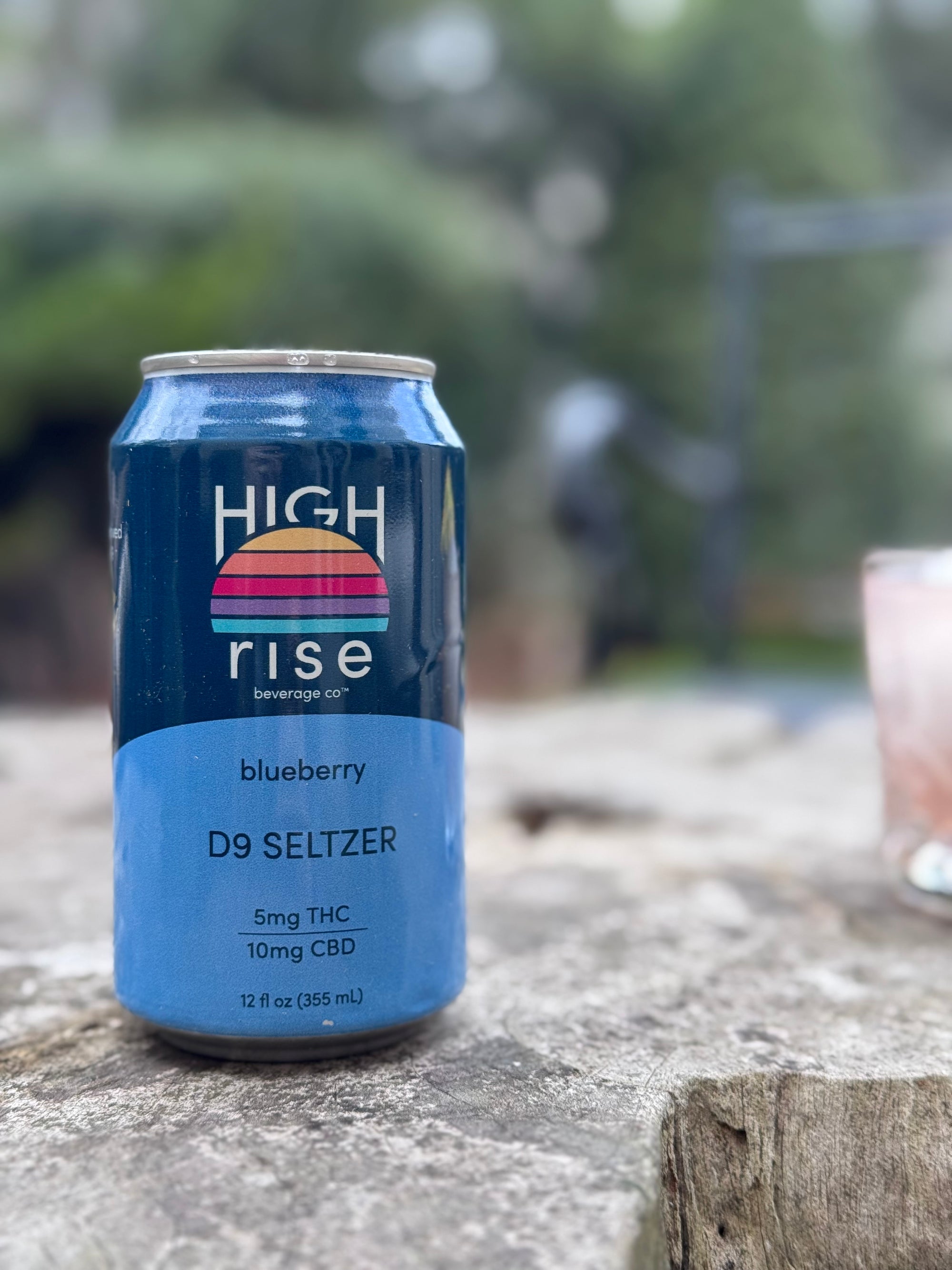 High Rise Delta 9 Seltzer